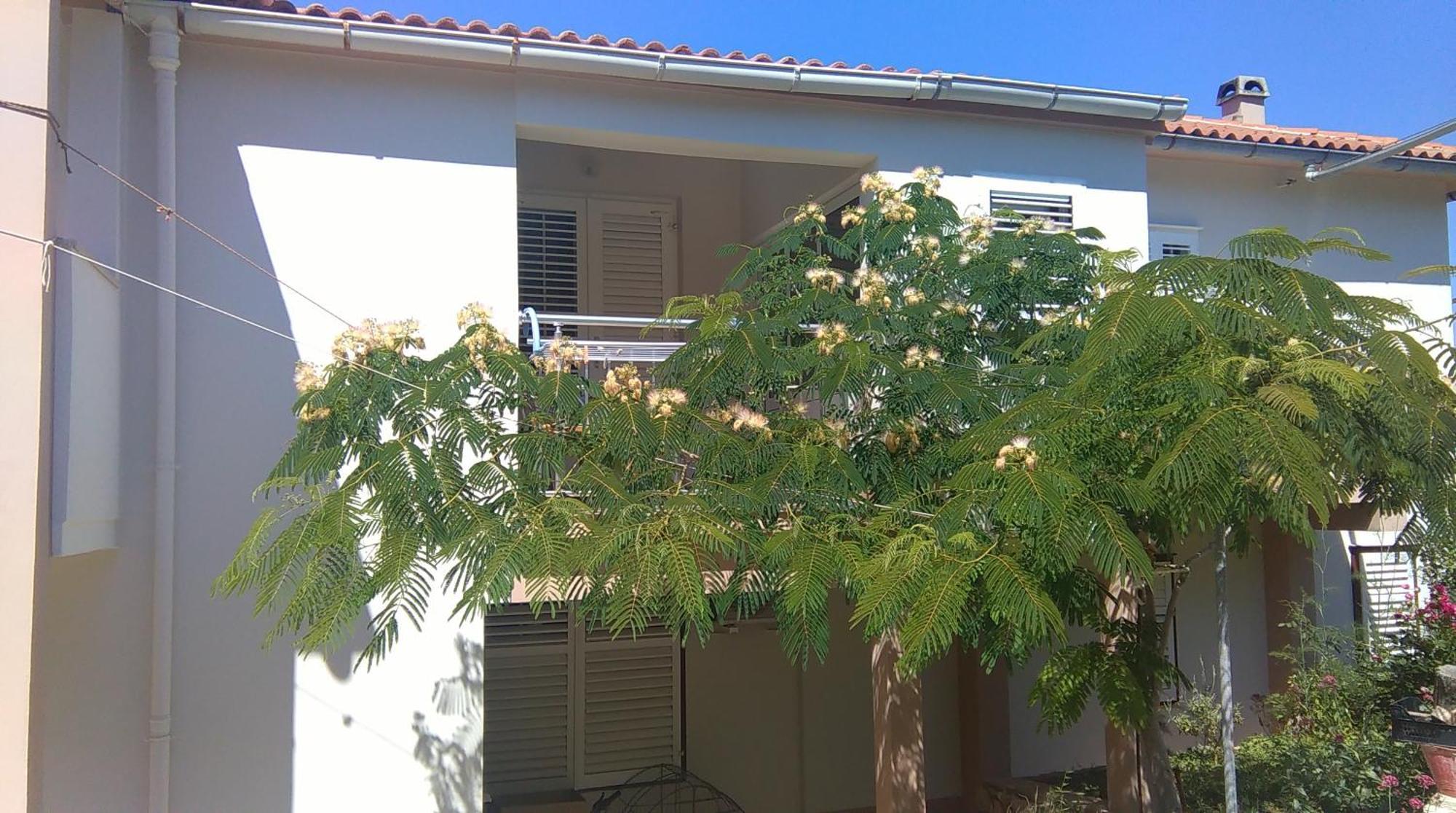 Apartments And Rooms Ljubica Lun (Pag) Exterior foto